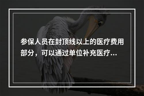 参保人员在封顶线以上的医疗费用部分，可以通过单位补充医疗保险