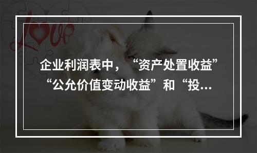 企业利润表中，“资产处置收益”“公允价值变动收益”和“投资收