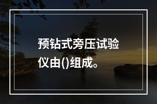 预钻式旁压试验仪由()组成。