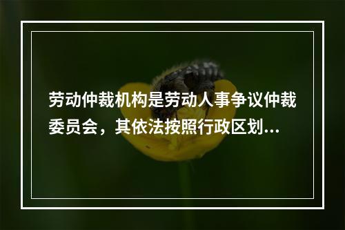 劳动仲裁机构是劳动人事争议仲裁委员会，其依法按照行政区划设立