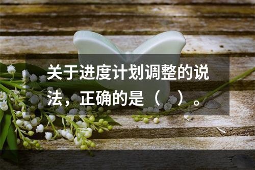 关于进度计划调整的说法，正确的是（　）。