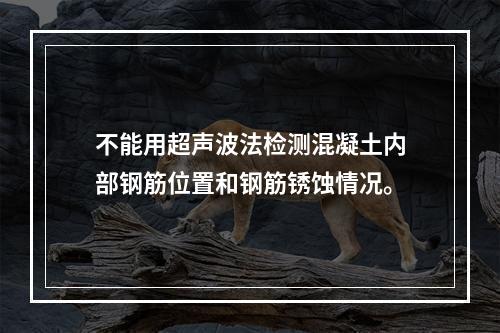 不能用超声波法检测混凝土内部钢筋位置和钢筋锈蚀情况。