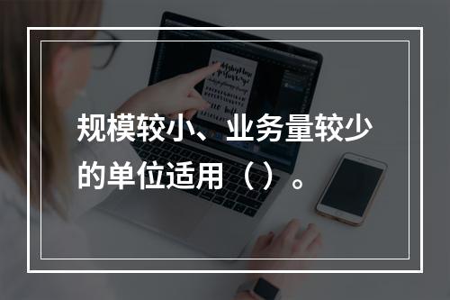 规模较小、业务量较少的单位适用（ ）。