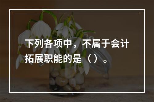 下列各项中，不属于会计拓展职能的是（ ）。