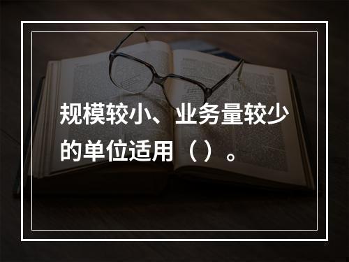 规模较小、业务量较少的单位适用（ ）。