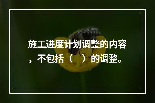 施工进度计划调整的内容，不包括（　）的调整。