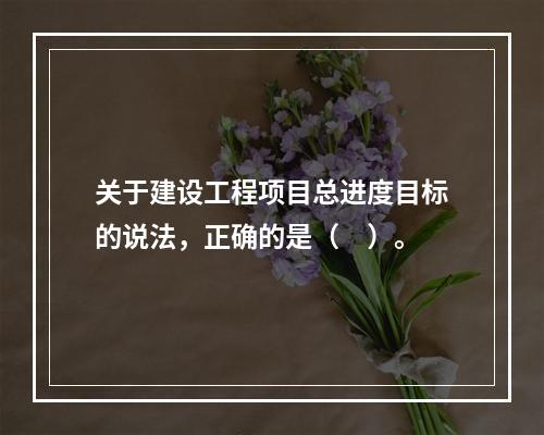 关于建设工程项目总进度目标的说法，正确的是（　）。