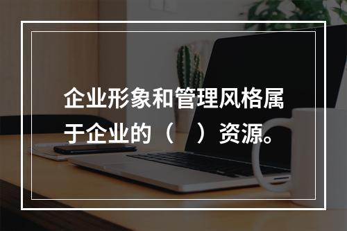 企业形象和管理风格属于企业的（　）资源。