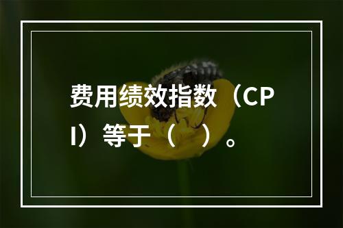 费用绩效指数（CPI）等于（　）。