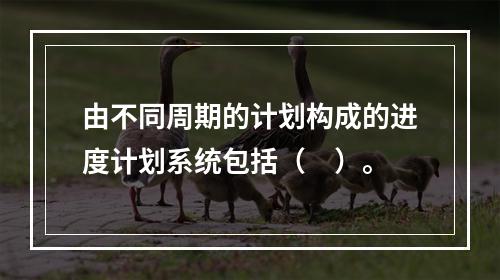 由不同周期的计划构成的进度计划系统包括（　）。