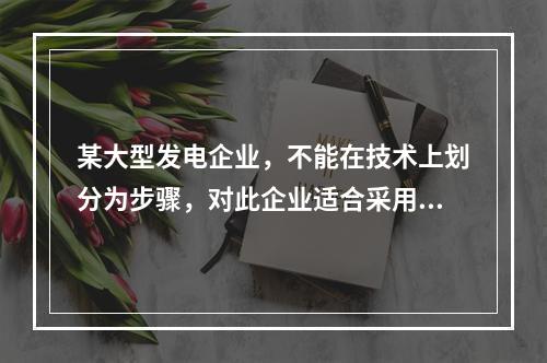 某大型发电企业，不能在技术上划分为步骤，对此企业适合采用的成