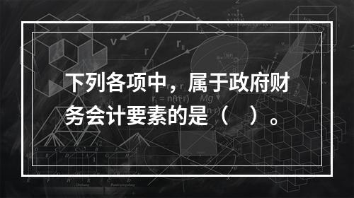 下列各项中，属于政府财务会计要素的是（　）。