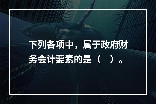 下列各项中，属于政府财务会计要素的是（　）。