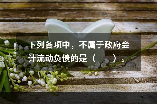 下列各项中，不属于政府会计流动负债的是（　　）。