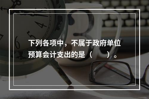 下列各项中，不属于政府单位预算会计支出的是（　　）。