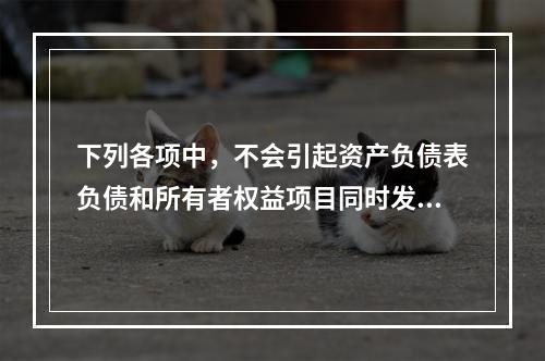 下列各项中，不会引起资产负债表负债和所有者权益项目同时发生变