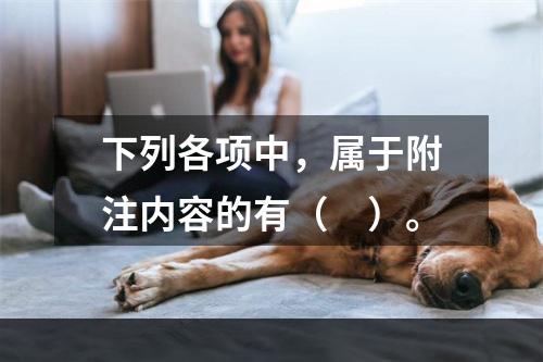 下列各项中，属于附注内容的有（　）。