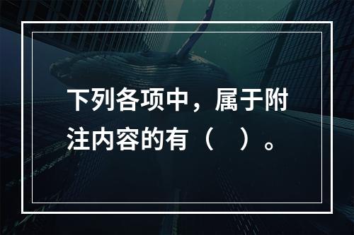 下列各项中，属于附注内容的有（　）。