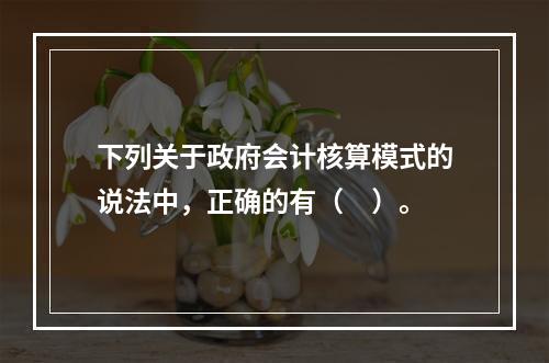 下列关于政府会计核算模式的说法中，正确的有（　）。