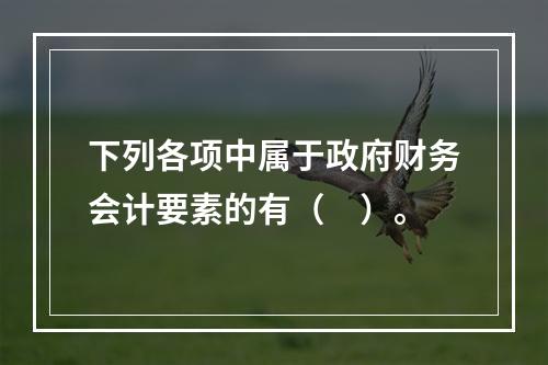 下列各项中属于政府财务会计要素的有（　）。