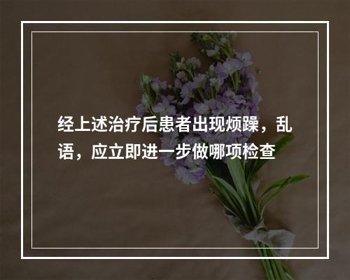 经上述治疗后患者出现烦躁，乱语，应立即进一步做哪项检查