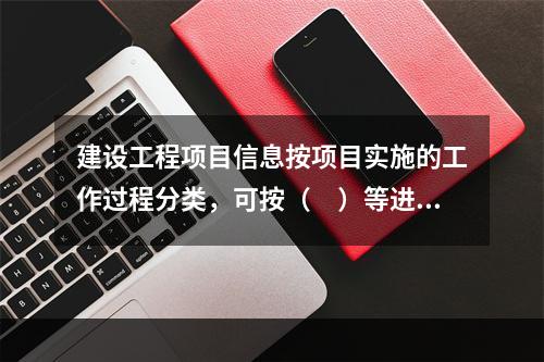 建设工程项目信息按项目实施的工作过程分类，可按（　）等进行分