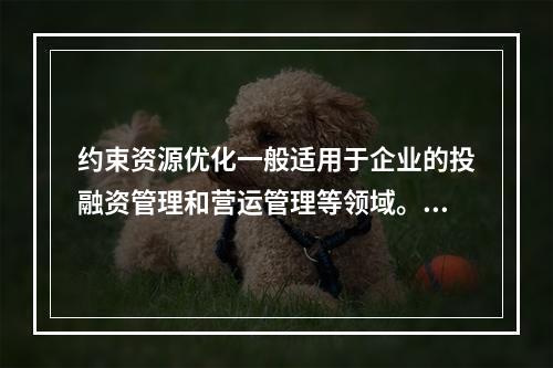 约束资源优化一般适用于企业的投融资管理和营运管理等领域。（　