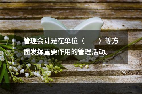 管理会计是在单位（　　）等方面发挥重要作用的管理活动。