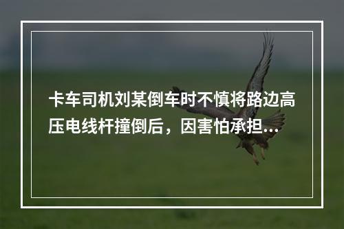 卡车司机刘某倒车时不慎将路边高压电线杆撞倒后，因害怕承担责任