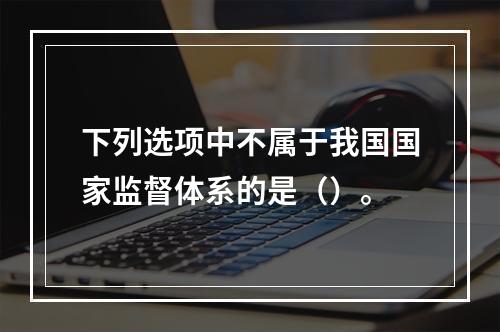 下列选项中不属于我国国家监督体系的是（）。