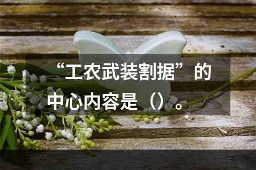 “工农武装割据”的中心内容是（）。