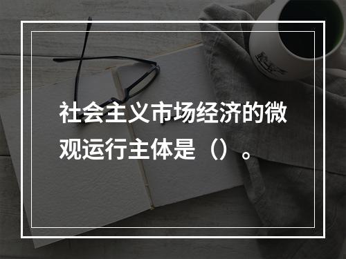 社会主义市场经济的微观运行主体是（）。