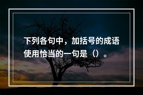 下列各句中，加括号的成语使用恰当的一句是（）。