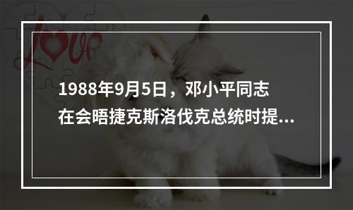 1988年9月5日，邓小平同志在会晤捷克斯洛伐克总统时提出了