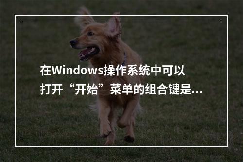 在Windows操作系统中可以打开“开始”菜单的组合键是（）