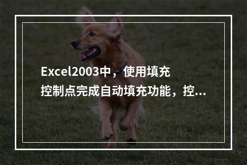 Excel2003中，使用填充控制点完成自动填充功能，控制点