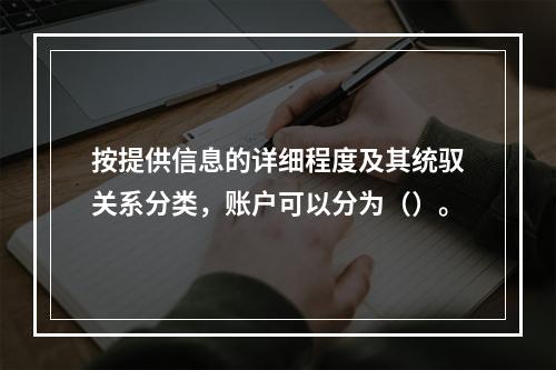 按提供信息的详细程度及其统驭关系分类，账户可以分为（）。