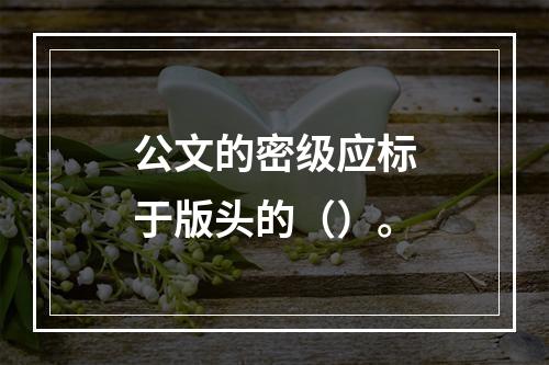 公文的密级应标于版头的（）。