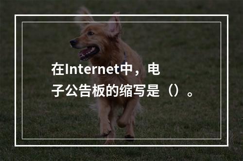 在Internet中，电子公告板的缩写是（）。