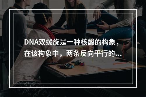 DNA双螺旋是一种核酸的构象，在该构象中，两条反向平行的多核