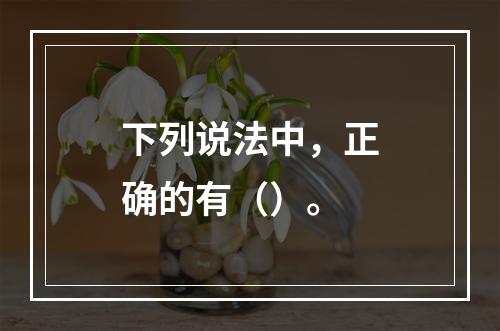 下列说法中，正确的有（）。