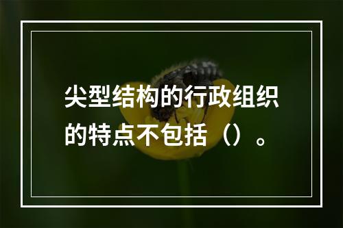 尖型结构的行政组织的特点不包括（）。