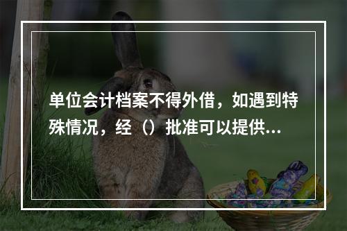 单位会计档案不得外借，如遇到特殊情况，经（）批准可以提供查阅