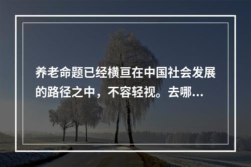 养老命题已经横亘在中国社会发展的路径之中，不容轻视。去哪里养