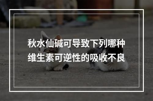 秋水仙碱可导致下列哪种维生素可逆性的吸收不良