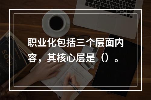 职业化包括三个层面内容，其核心层是（）。