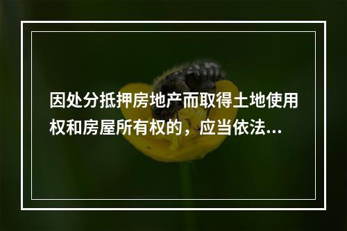 因处分抵押房地产而取得土地使用权和房屋所有权的，应当依法办理