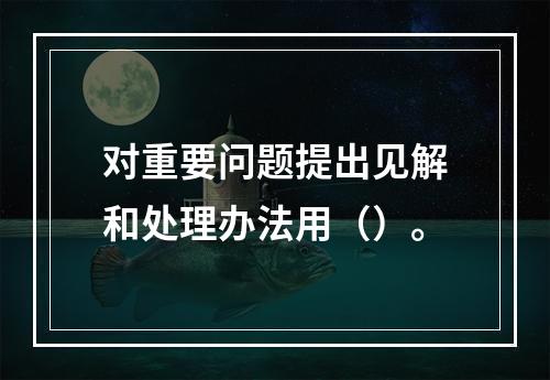 对重要问题提出见解和处理办法用（）。