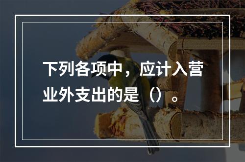 下列各项中，应计入营业外支出的是（）。