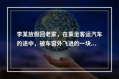 李某放假回老家，在乘坐客运汽车的途中，被车窗外飞进的一块小石